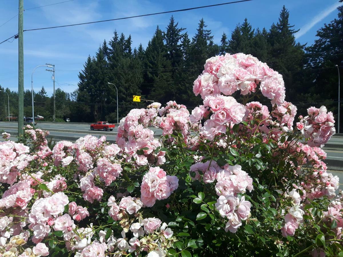 Fuller Lake Chemainus Motel Exteriör bild
